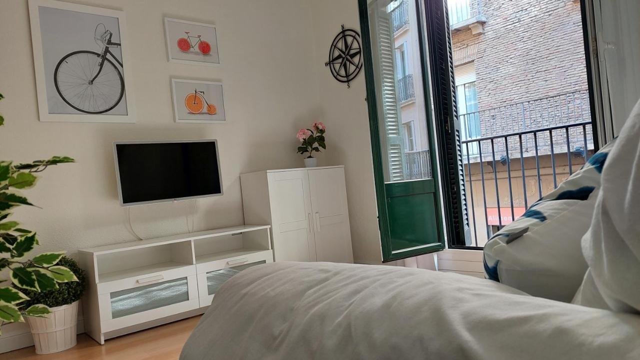 Apartment Ibarrenea *